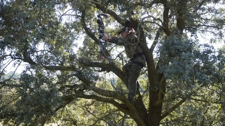 Svake noći uzimaju luk i strijelu te se penju na drvo kako bi spasili grad