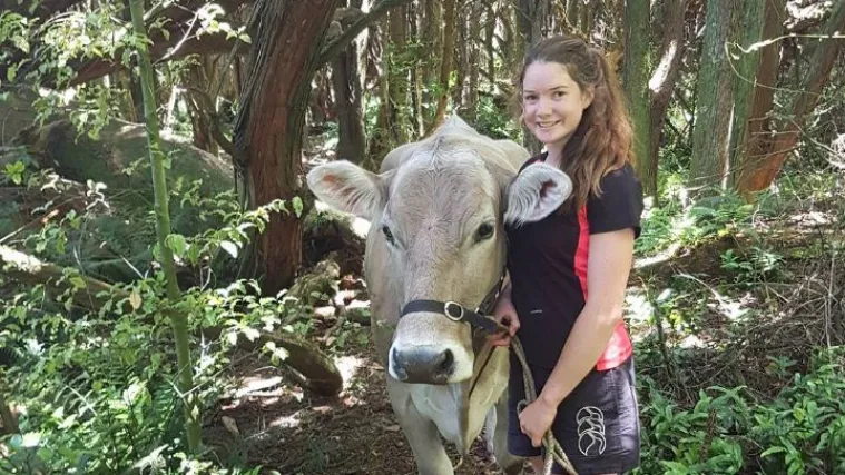 Snađi se, druže: roditelji joj nisu htjeli kupiti ponija pa je djevojčica izdresirala kravu!