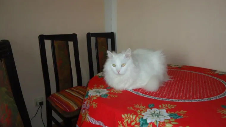 A vjerovali ili ne, jo&scaron; je i nevjerojatno topao i umiljat