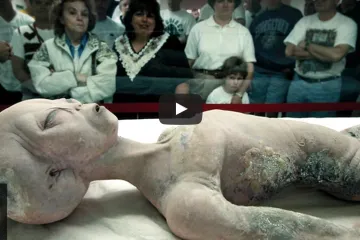 Vjerujete li im ili ste normalni?