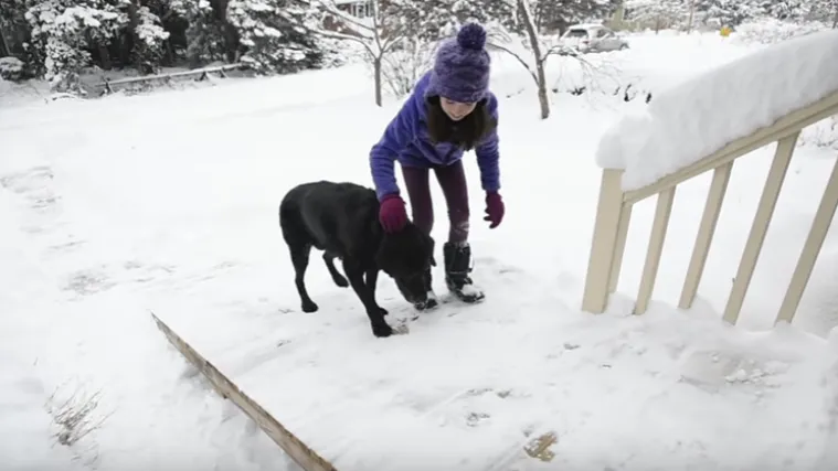 Svijet se  zaljubio u prijateljstvo psa i čovjeka: dragi po&scaron;tar ugradio rampu kako bi pas mogao izlaziti iz kuće