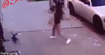 Jadan psić nije imao &scaron;anse kad ga se dočepala zvijer