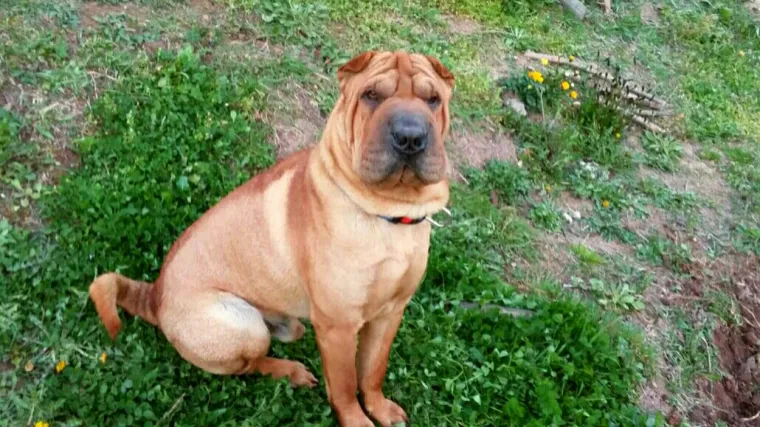 Hotch se svim silama trudio ispasti ozbiljan, no već na drugoj slici otkriva svoje pravo lice