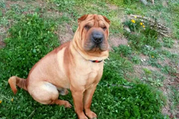 Hotch se svim silama trudio ispasti ozbiljan, no već na drugoj slici otkriva svoje pravo lice