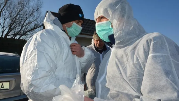 Novi slučaj ptičje gripe u Hrvatskoj: virus potvrđen na farmi u blizini Velike Gorice!