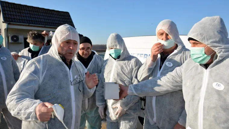 Utvrđen točan broj peradi zaražene ptičjom gripom, eutanazija započinje sutra