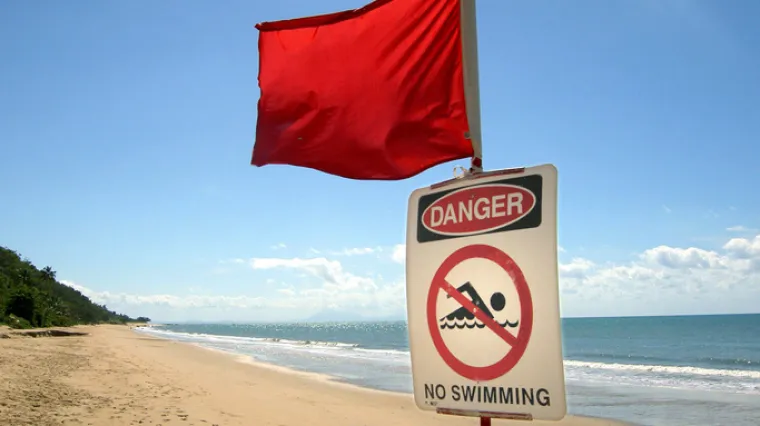 Zna se najsmrtonosnija životinja Australije: nećete vjerovati kad čujete koja