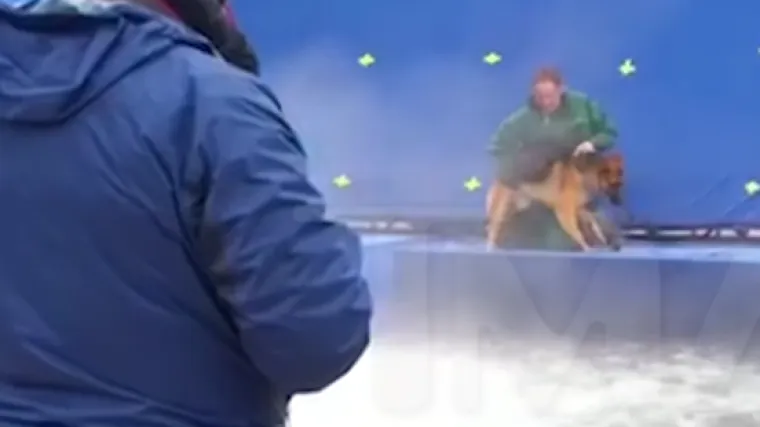 Procurila &scaron;okantna snimka sa snimanja 'Smisao života jednoga psa': filma&scaron;i i PETA najavili bojkot