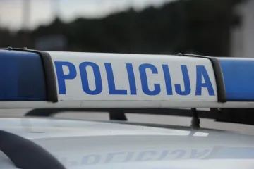 Strvine uz cestu: pulska policija nije utvrdila elemente kaznenog djela ubijanja ili mučenja životinja