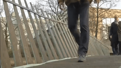 Nizozemci izgradili čvrsti most od podatnih vlakna konoplje