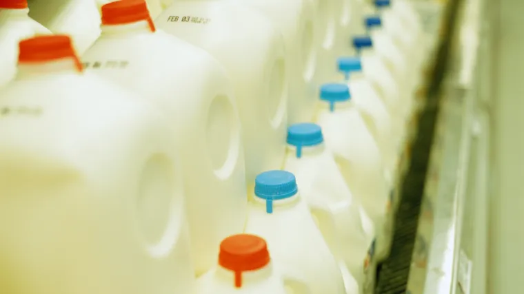 Kontrolirat će se kakvoća mlijeka i provjeravati je li krivotvoreno