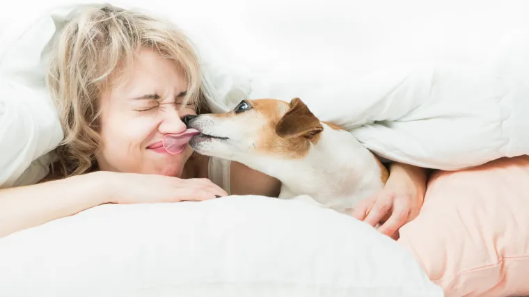 Ako se ljubite s va&scaron;im psom ili mačkom &ndash; odmah prestanite