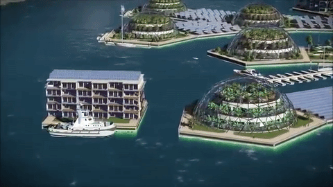 Zbog rasta razina mora Francuska Polinezija će graditi prvi plutajući grad na svijetu