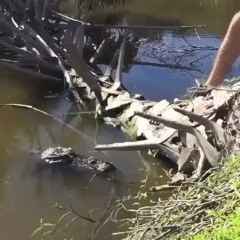 To se zove hrabrost...