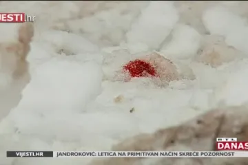 Kamion pregazio smetlara u Odranskom Obrežu, policija štura: 'Do nesreće došlo zbog vožnje unatrag'