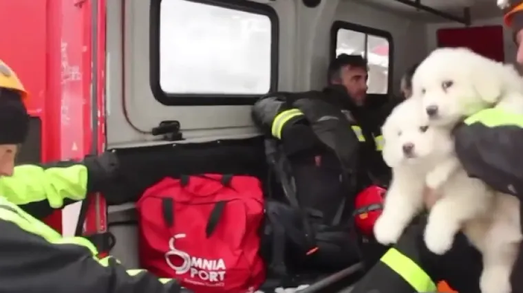 Pronalazak štenaca nakon pet dana pod lavinom ohrabrilo spasioce: 'Ovaj znak života daje nam nadu'