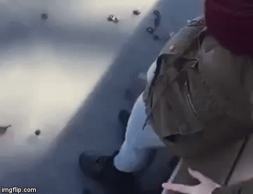 Cura se malo previ&scaron;e opustila na zaleđenom jezeru