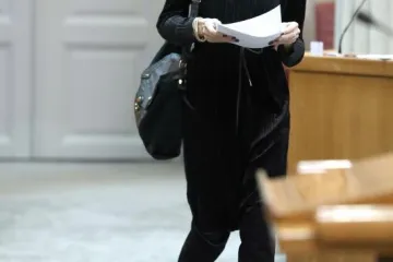 MODNE KOMBINACIJE U SABORU: HDZ-ova zastupnica odabrala svjetlije tonove, a SDP-ovka tamnije...