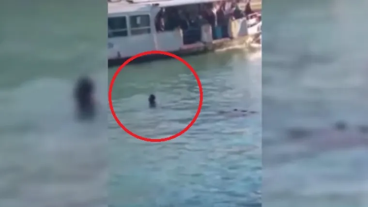 Dok se migrant utapao, turisti su hladnokrvno snimali mobitelima!