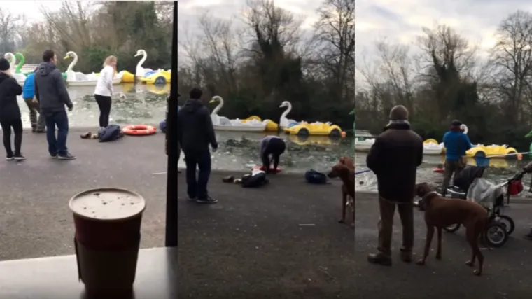 Ne nose svi heroji pla&scaron;t: vlasnica skočila za psom u ledenu vodu kako bi ga spasila