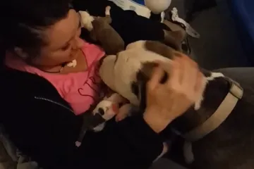 Ova snimka će vas rastopiti: Kujicu je potpuno izbezumila činjenica da je postala majka jedanaestero štenaca