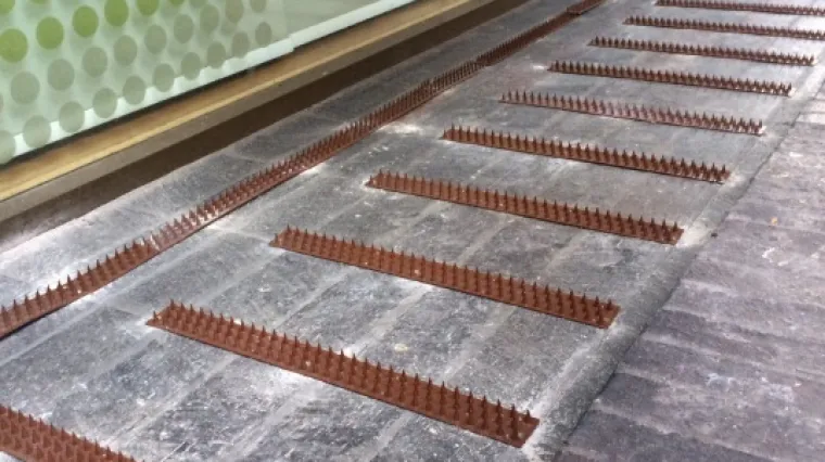 Evo kako se u Manchesteru ponašaju prema beskućnicima