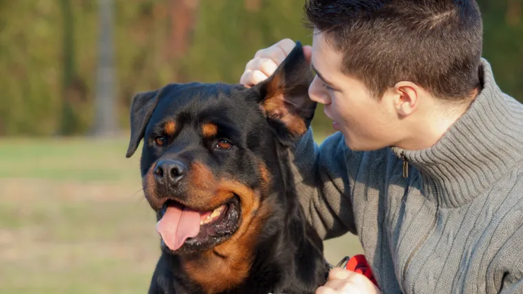 Možda cijelo vrijeme govorite svome psu na krivi način