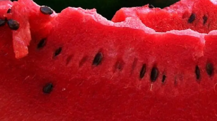 Lako do savr&scaron;ene linije: Želite li smr&scaron;avjeti, jedite hranu s većim udjelom vode