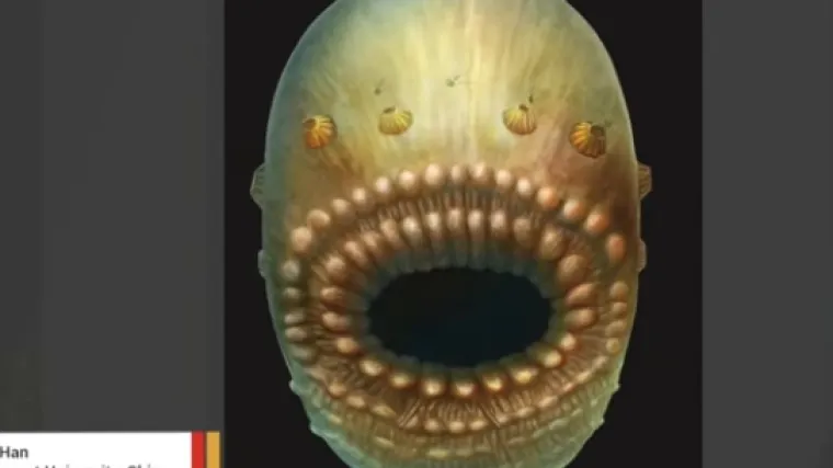 Ovo nije stvor iz dalekog svemira, već čovjekov najstariji predak!