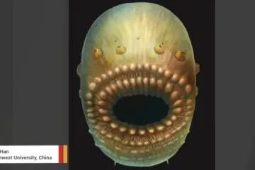 Ovo nije stvor iz dalekog svemira, već čovjekov najstariji predak!