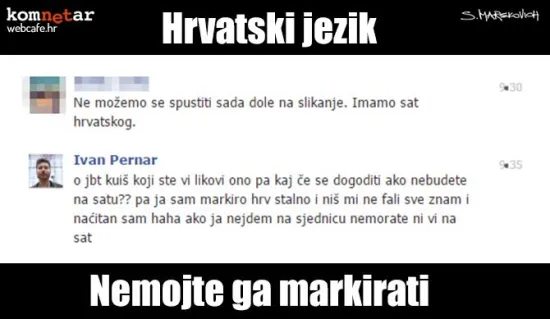 Zastupnik u Hrvatskom saboru...