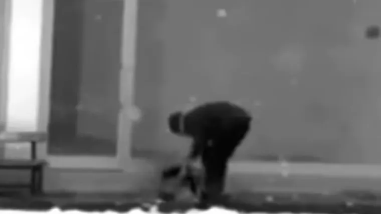 Skinuo jaknu i zaogrnuo promrzlog psa lutalicu