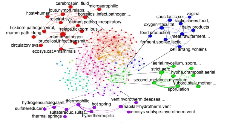 Ruđerovci su razvili novu računalnu metodu za brzo i samostalno čitanje znanstvene literature