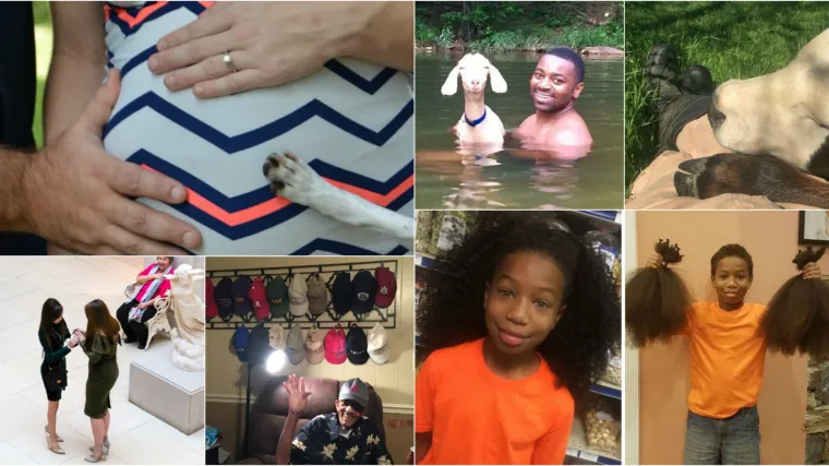 Pozitivnija strana svijeta: nakratko zaboravite na tužnu sada&scaron;njicu i kaos koji se događa oko nas