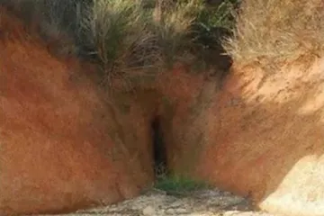 JESTE LI PERVERZNJACI U DUŠI? Ako na ovim nevinim sličicama vidite prostote, sami ste si krivi!