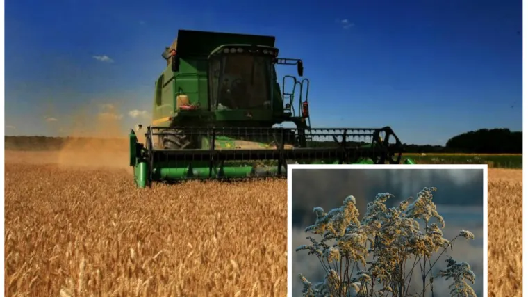 'Vrlo je agresivna, nismo vidjeli tako nešto u pet ili šest desetljeća!'