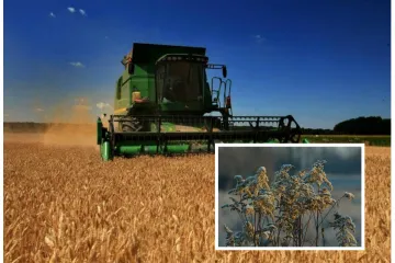 'Vrlo je agresivna, nismo vidjeli tako nešto u pet ili šest desetljeća!'