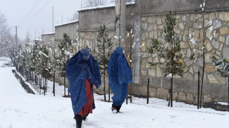 U Beču prosvjed zbog zabrane burke u javnosti