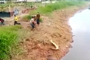 Djeca otišla pecati, pa uhvatila morskog krokodila