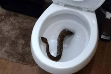 IZ &Scaron;KOLJKE IZMIGOLJILA ČEGRTU&Scaron;A: Tek onda je uslijedio pravi horor