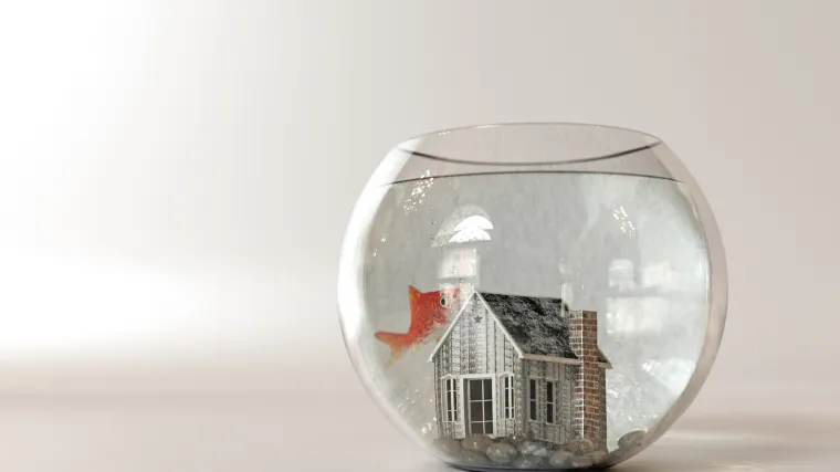 Sve svoje nosi sa sobom: izumili akvarij koji pokreće zlatna ribica