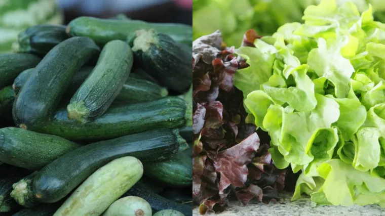 Zbog velike hladnoće cijene lete u nebo, tikvice dosegle 45 kuna po kilogramu, salata 50!