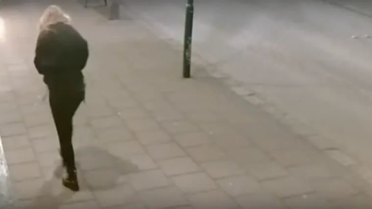 Ubojstvo koje je potreslo Island dobilo nastavak: obdukcija pokazala kako je djevojka živa bačena u ocean