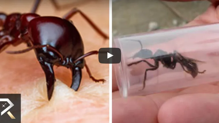 Izgleda da postoje i gore stvari od poroda