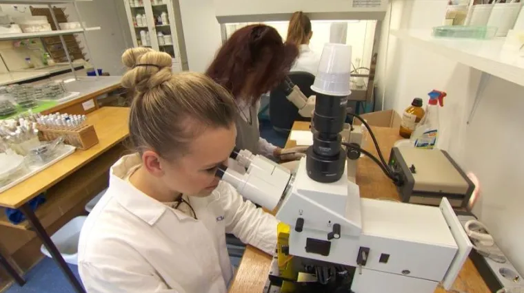 S kojim zanimanjima je najbrže, a s kojima najsporije doći do posla