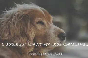 MISLI KOJE ĆE VAS UZNEMIRITI: Možda sve zemlje imaju nindže, ali znamo samo japanske jer su traljavi?