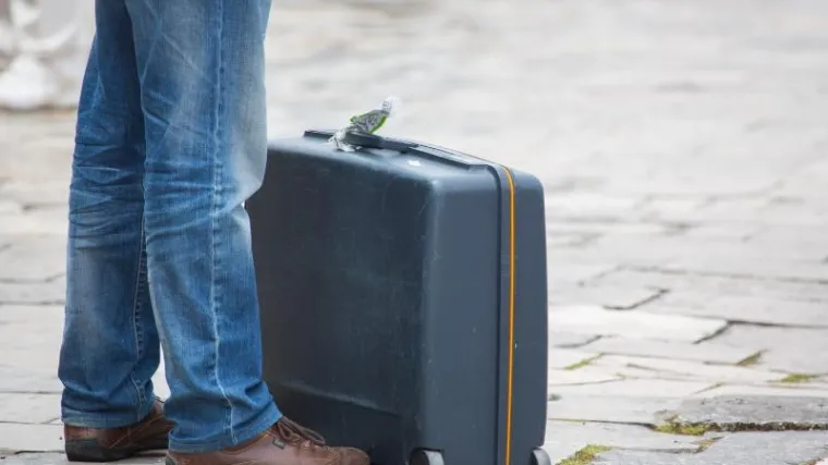 'Da se svi na&scaron;i očevi mogu vratiti, mislim da bi umjesto pu&scaron;ke uzeli nas za ruke i oti&scaron;li &scaron;to dalje'