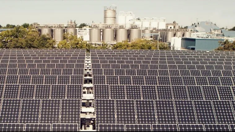 'ZELENO' PIVO: Tesla ušao u prilično čudnovato partnerstvo s – pivovarom