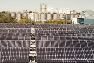 'ZELENO' PIVO: Tesla ušao u prilično čudnovato partnerstvo s – pivovarom