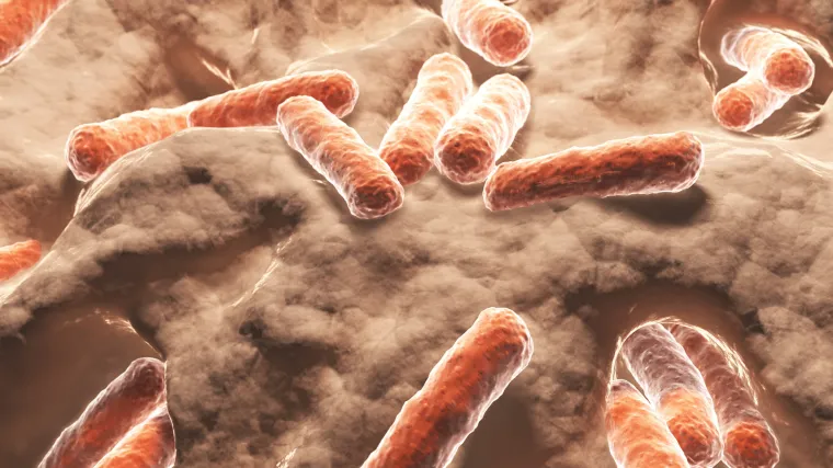 Novi bakterijski gorivni članci koriste papirnate elektrode